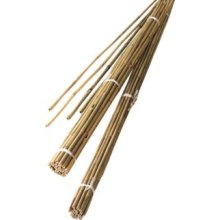 Canne in Bamboo 2.1m (Confezione da 10)